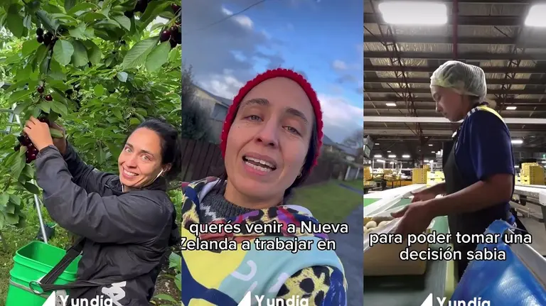 Reveló cómo mudarse a Nueva Zelanda y trabajar sin importar la edad ni el nivel de inglés