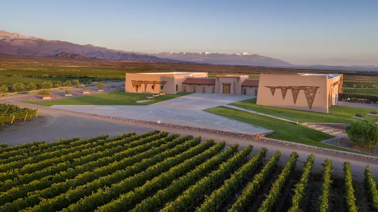 Cinco grandes vinos elaborados por la bodega de la familia Rothschild en Argentina (y que debés probar)