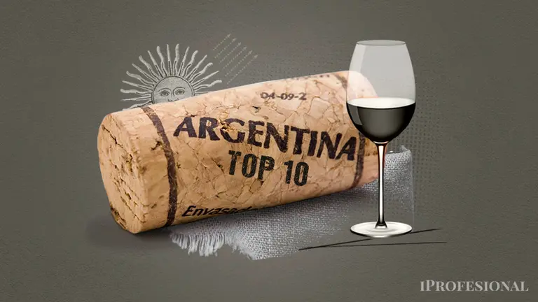 Los 10 mejores vinos argentinos que un panel de expertos eligió entre más de 500 etiquetas