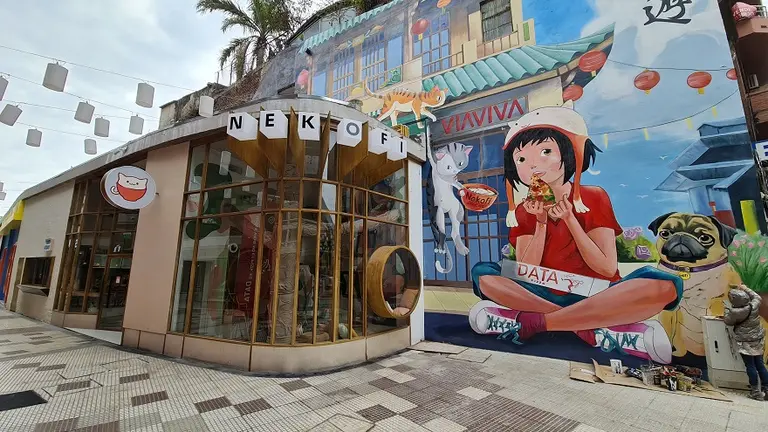 Llega Nekofi: el cat café que fusiona delicias gastronómicas con la ternura de los gatos