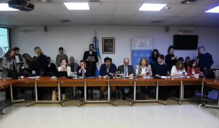 Avanza en Diputados el proyecto que busca proteger la estatización de Aerolíneas Argentinas