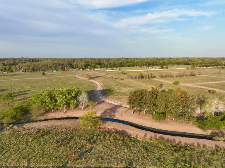 Cuáles son las formas seguras de inversión, frente a un contexto económico lleno de incertidumbre