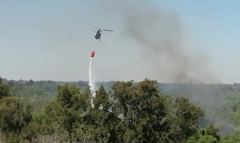 Fuego en el Delta de Tigre: arden cientos de hectáreas, peligran viviendas y piden más hidrantes para apagar focos