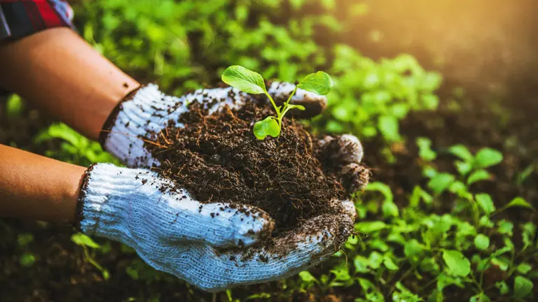 Bayer anuncia alianzas clave en su Programa Pro-Carbono para impulsar la agricultura sustentable y combatir el cambio climático en Argentina