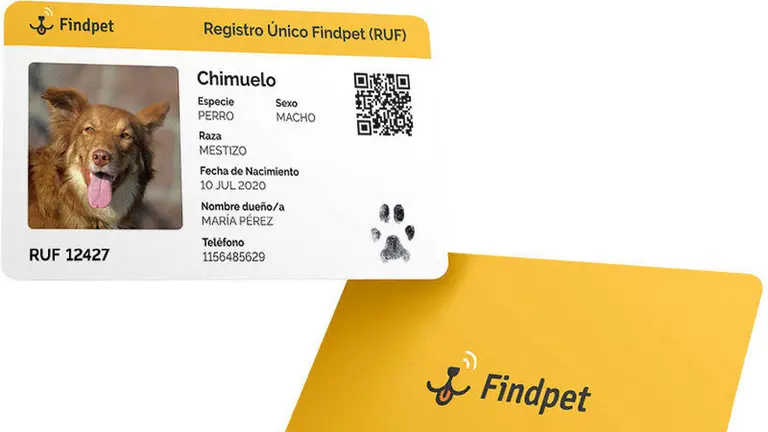 Con esta app, todos los perros y gatos pueden tener su DNI: cómo funciona