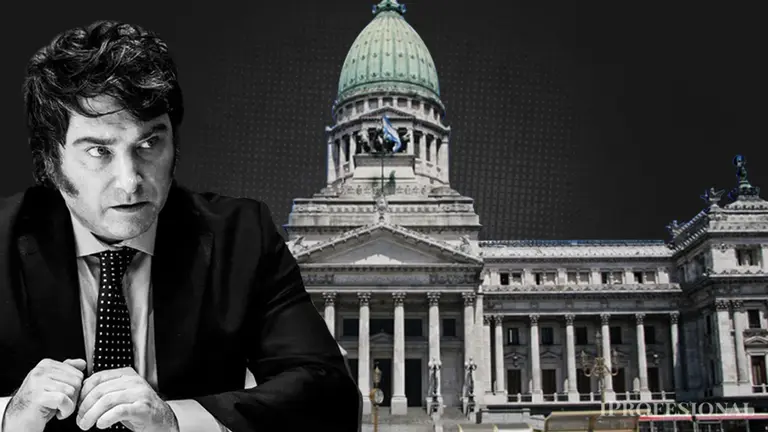 Qué es la ley Omnibus que Milei busca mandar al Congreso? Antecedentes