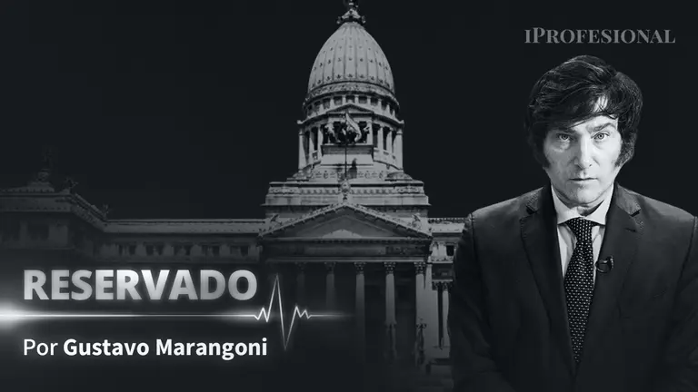 Leyes, decretos, DNU y consultas no vinculantes: ¿qué puede hacer Milei para concretar su plan de gobierno?