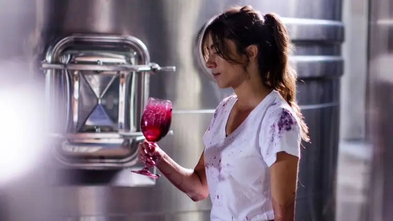 ¿Buscás vinos nuevos?: 6 etiquetas de Bodega Ruca Malen que tenés que probar