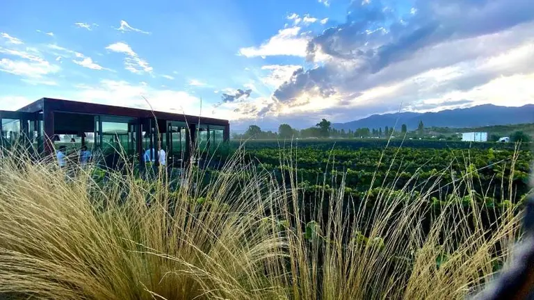 Un menú de 14 pasos alrededor del vino y que dura 4 horas: así es comer en uno de los mejores restaurantes de bodega