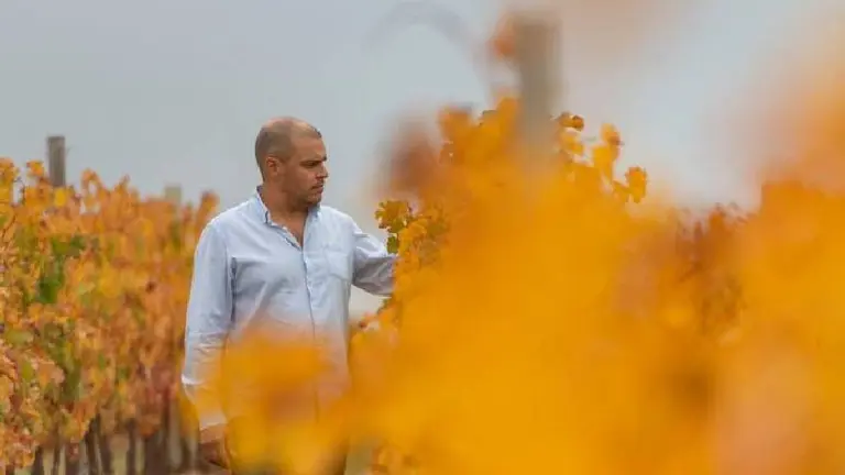 Bodegas Salentein tendrá casi 1.200 hectáreas de viñedos 100% orgánicos: así es su ambicioso plan