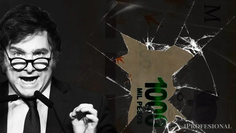 Las dudas que genera el brutal ajuste fiscal y la megadevaluacion con estanflación impulsada por Milei