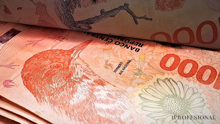 Cuánta plata le puedo transferir a un hijo sin tener que hacer la declaración en AFIP