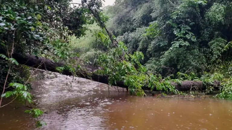 Las islas del Delta siguen sin luz desde el temporal
