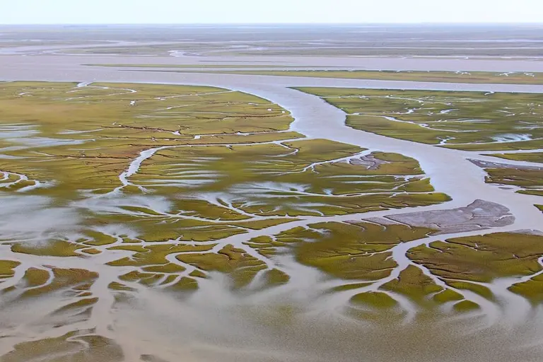 Derrame de petróleo en Bahía Blanca: qué empresa está detrás del siniestro ambiental