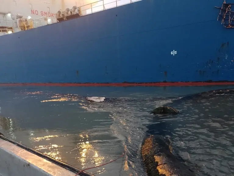 Nuevo derrame de petróleo en Bahía Blanca: suspenden a la empresa Oiltanking