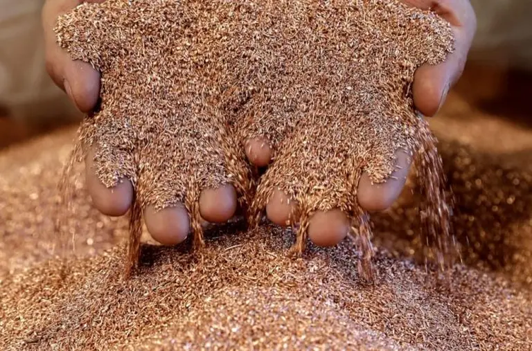 Argentina apunta a ser potencia en cobre: aprobaron el primer RIGI por u$s2.700 millones