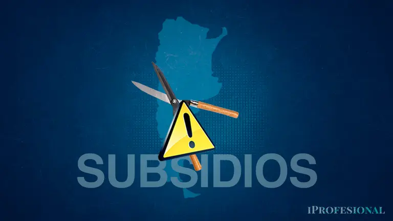 Nuevo esquema de subsidios