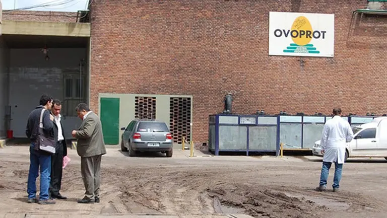 Después de cinco años, la mayor productora de huevos sale del default