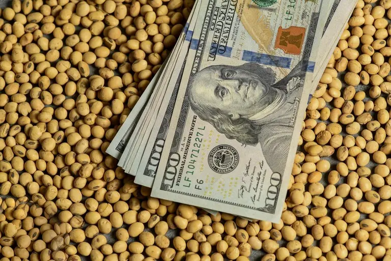 Nuevas referencias del Dólar Exportador para agilizar el comercio de granos