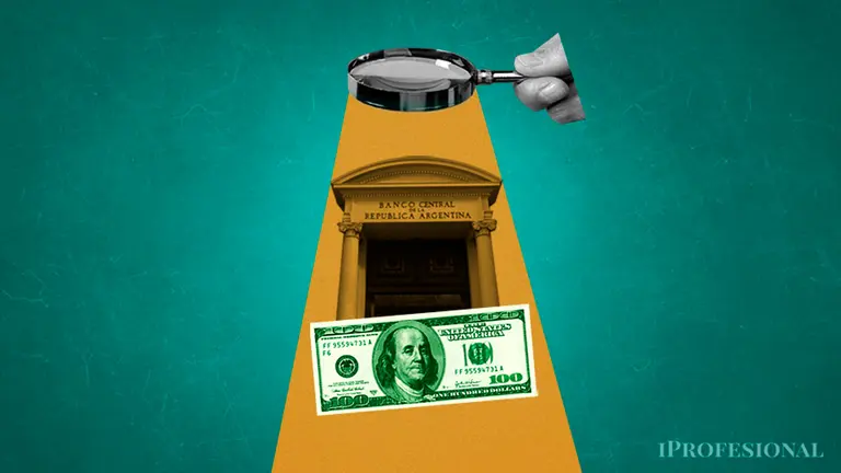 Qué deberá suceder con el dólar oficial para que la inflación siga manteniéndose en baja, según experto