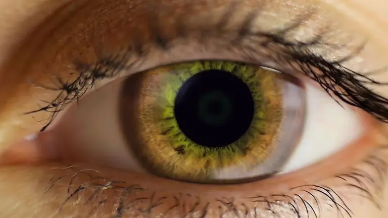 Crean técnica para estimar nuestra edad biológica y riesgo de muerte: cómo funciona