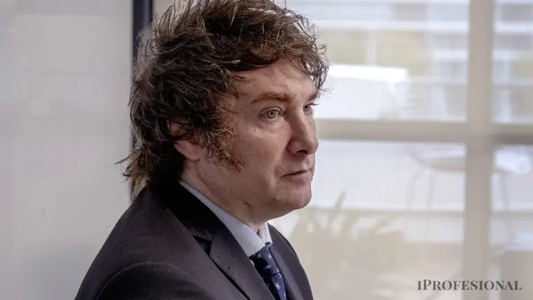 "Tengo el culo limpio, no necesito que la Corte me salve" y otras definiciones polémicas de Javier Milei