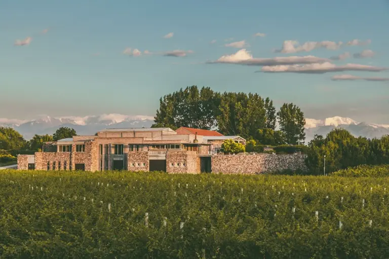 De Valle de Uco a San Rafael:  Bodegas Bianchi festeja la versatilidad del Malbec