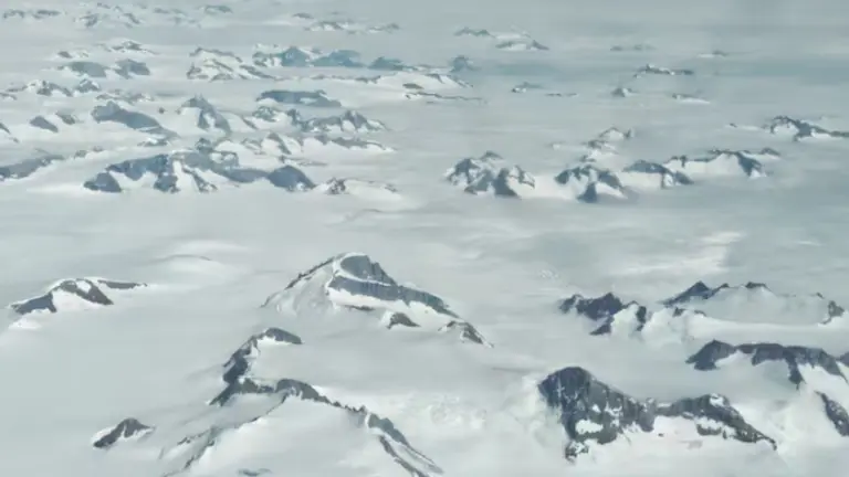 Tomaron imágenes satelitales de la Antártida que revelan el cambio de color: pasó de blanco a verde