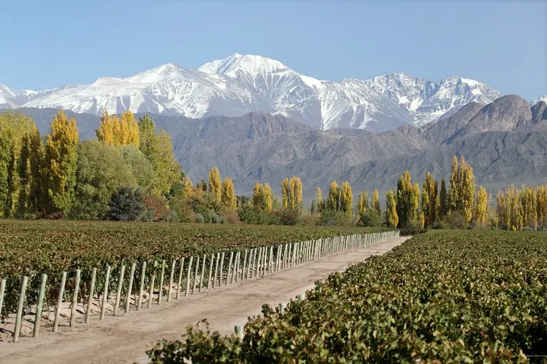 Terrazas de los Andes celebra el día mundial del Malbec