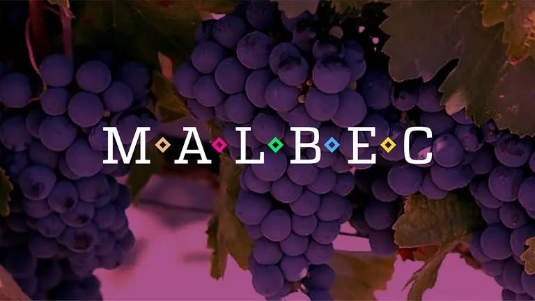 Vino Malbec