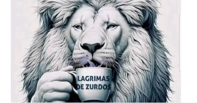 Polémica publicación de Javier Milei sobre la Marcha Federal Universitaria contra el ajuste