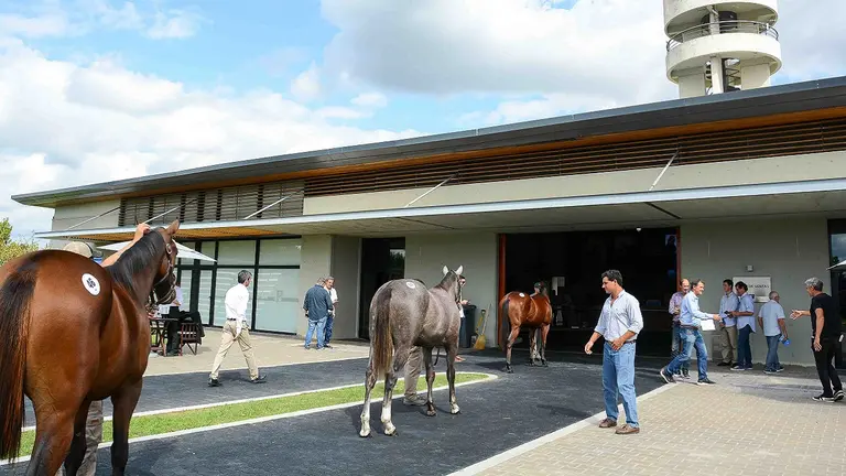 Copa Bullrich presenta en mayo el evento "Moda, Arte y Bienestar Equino" en Haras La Pasión