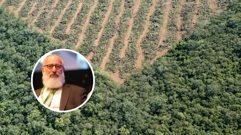 Acusan al holding de Eduardo Elsztain de deforestar tierras similares al tamaño de Madrid