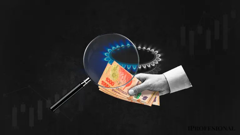 Finalmente, el Gobierno suspendió la suba de tarifas del gas