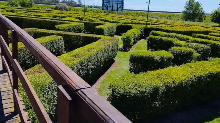 Cómo llegar al laberinto poco conocido que está camino a Mar del Plata y es gratis