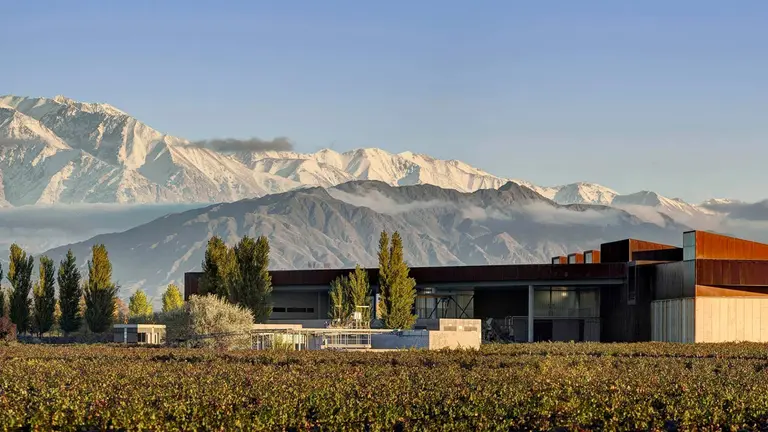 Seis vinos de bodega Navarro Correas que tenés que probar