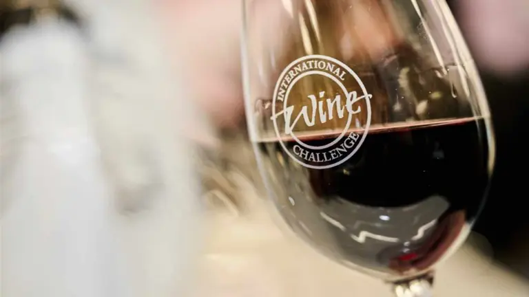 Cuánto cuestan los 2 mejores vinos Malbec de Argentina, premiados en un reconocido concurso