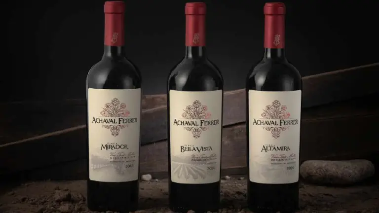 ¿Cómo es un vino Malbec que pasó 20 años en una botella?