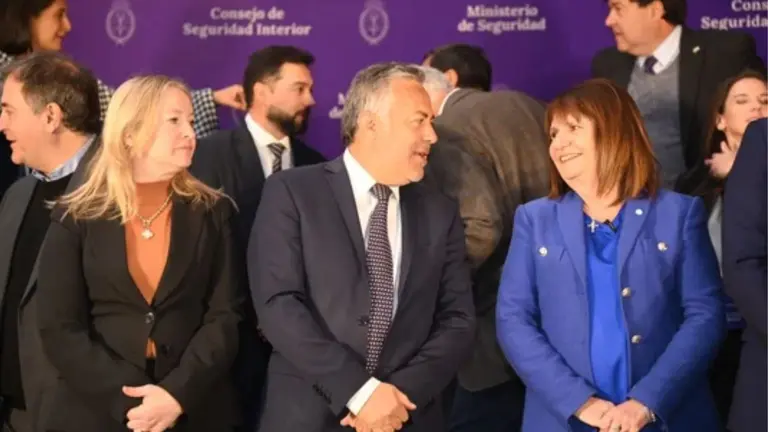 Bullrich busca reformar el Código Penal Juvenil, "para que se termine de utilizar a los menores"