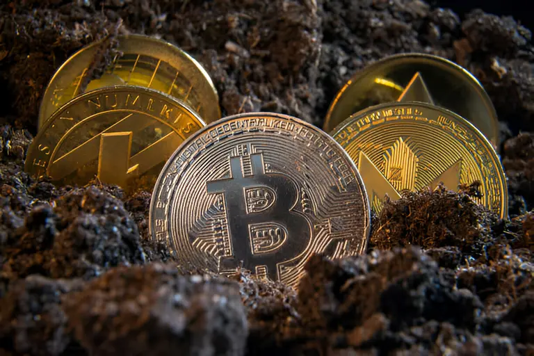 ¿Cuál es la criptomoneda más rentable?: tres razones por las que invertir en PlayDoge