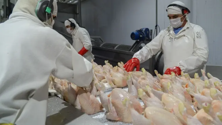 La OMS confirmó la primera muerte de una persona por un nuevo tipo de gripe aviar