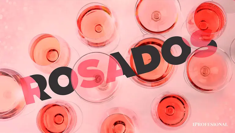 Qué vinos rosados probar: 19 buenas opciones de diferentes estilos y precios