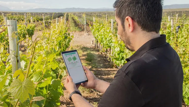 Una de las mejores empresas para trabajar en Argentina consiguió u$s7,5 millones y contrata personal