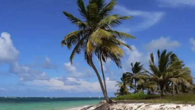 El destino internacional favorito que duplicará su cantidad de turistas argentinos en 2025