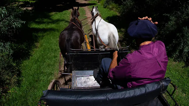 Cuatro escapadas de lujo para conectarte con la naturaleza