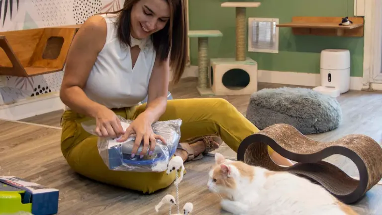 Es veterinaria y creó en Argentina una cadena de "hoteles" para gatos: ¿cuánto cuesta?