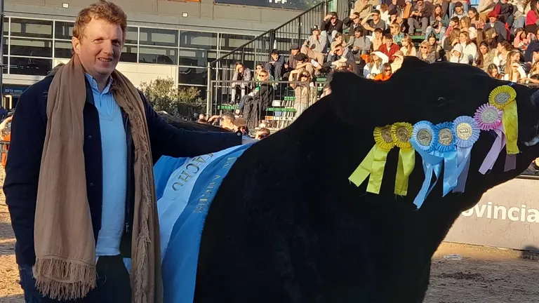 Pieter De Nul y su toro Angus, Centenario