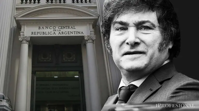 Qué son los puts y cuál es la su importancia en la era Javier Milei