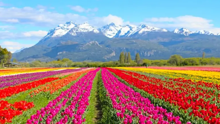 Best Tourism Villages 2025: ocho pueblos argentinos representarán al país