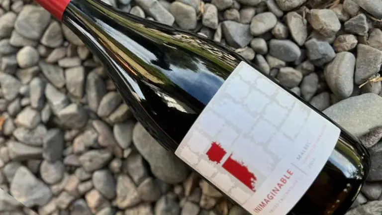 Este vino Malbec es el secreto mejor guardado de Salta y ya tiene nueva cosecha